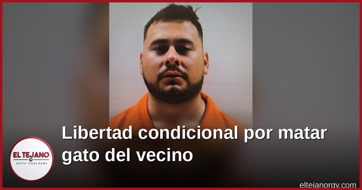 Mató al gato de su vecino: exjefe de obras de Primera recibe libertad condicional