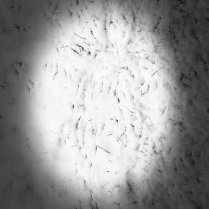 Dirty Snow
