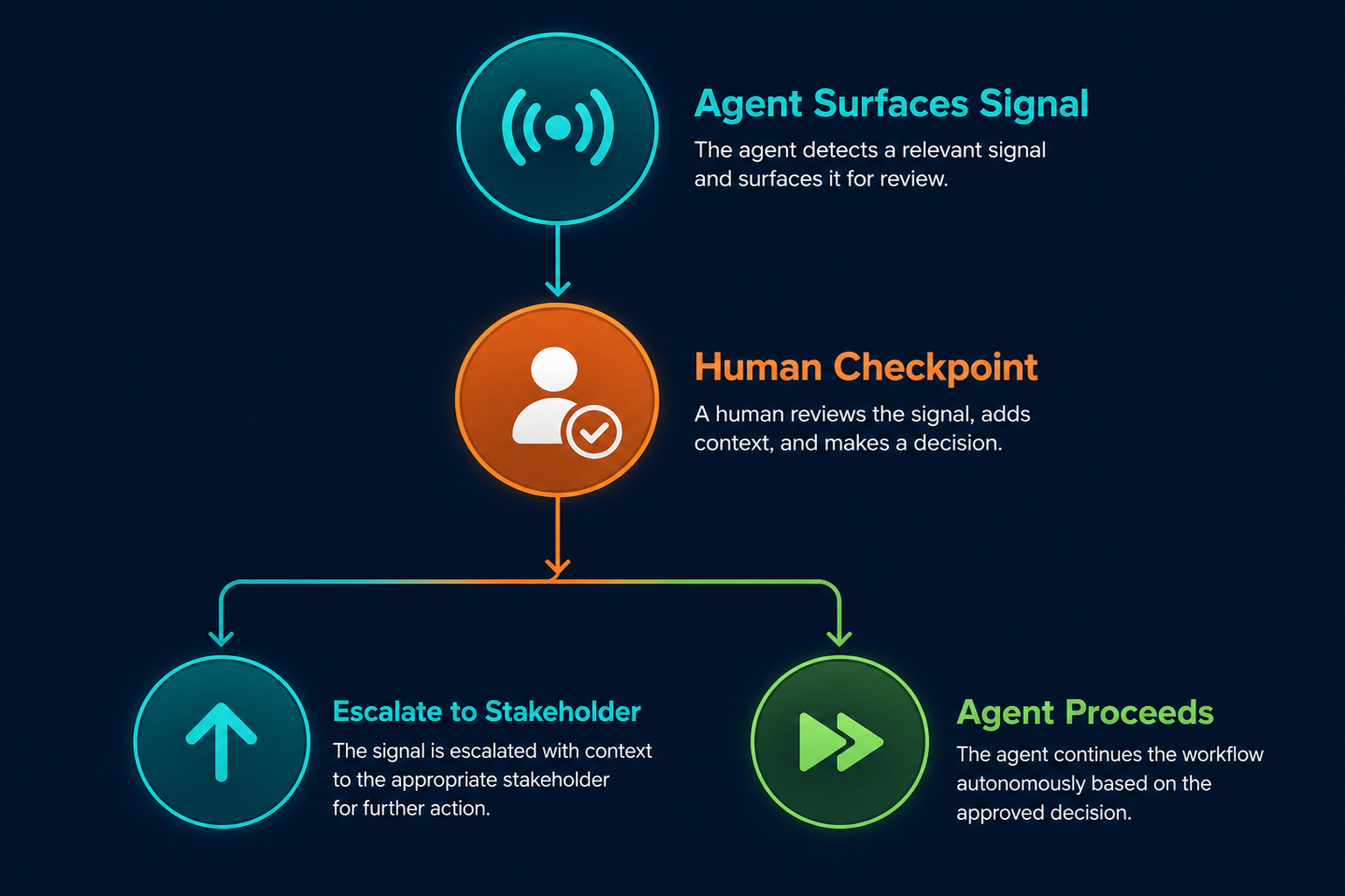 Decision checkpoint flow: Agent Surfaces Signal (teal node) leads to Human Checkpoint (amber node), which branches to Escalate to Stakeholder or Agent Proceeds