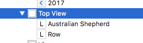 Rename the Containing Top UIView