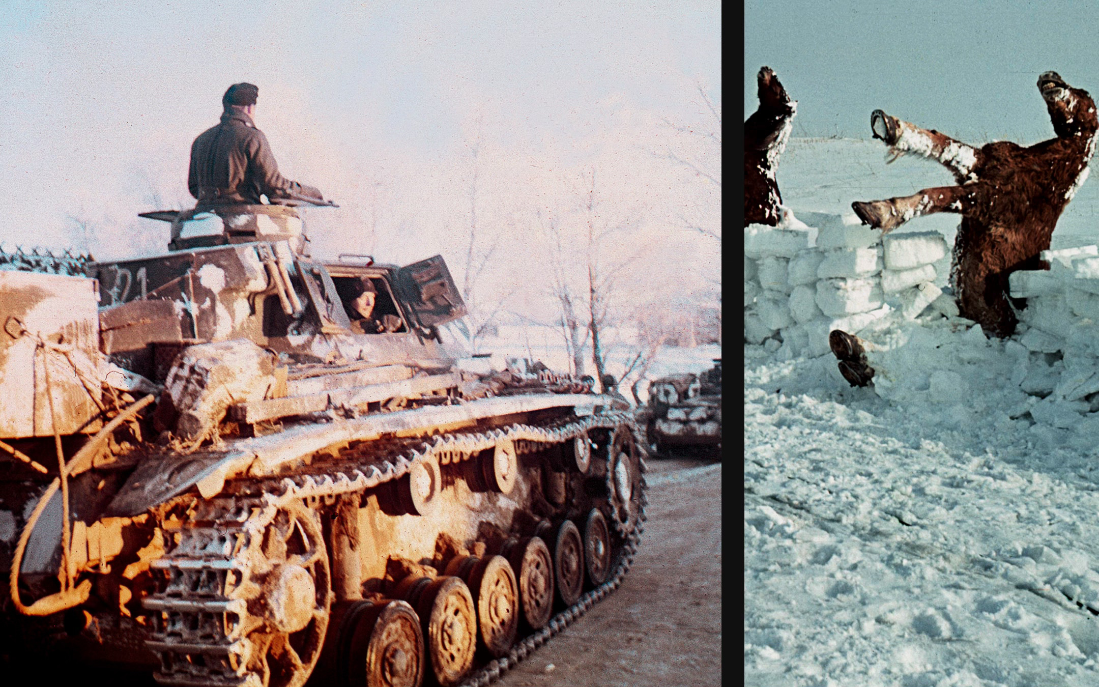 Life and Death on the Eastern Front