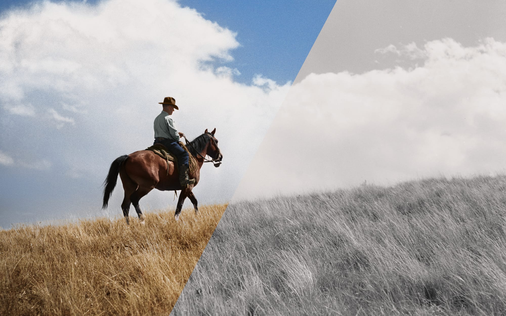 1939: A Montana Rancher