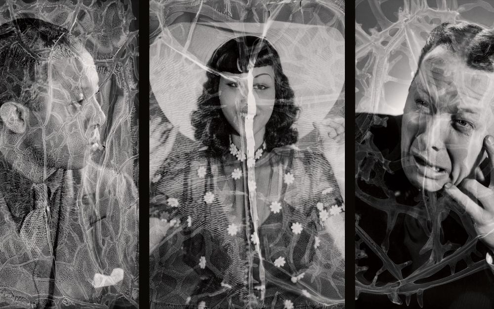 Warped Portraits of the 1930s post image