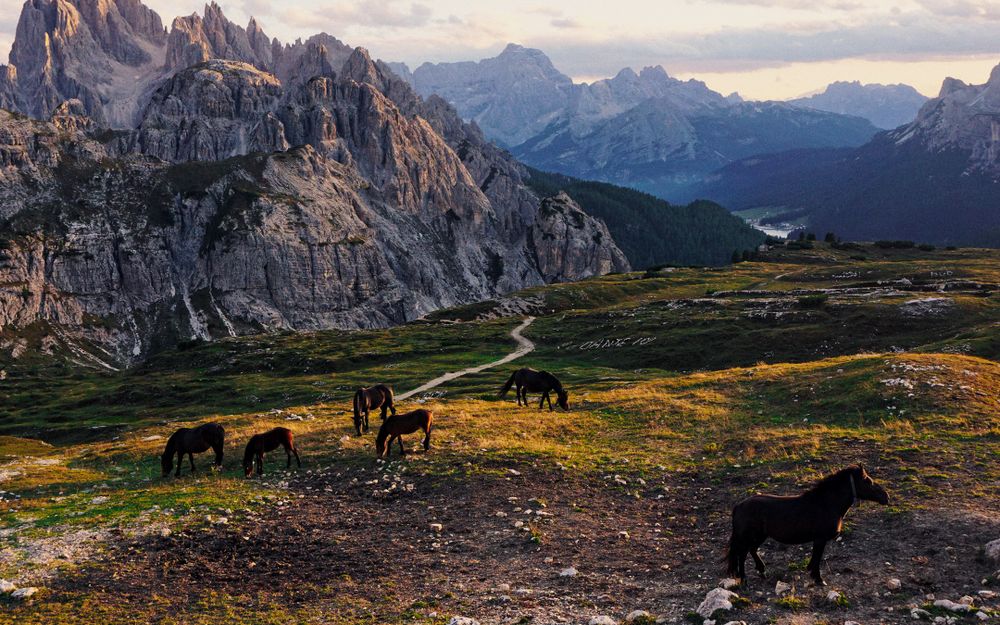 A Dream of Heavenly Horses post image