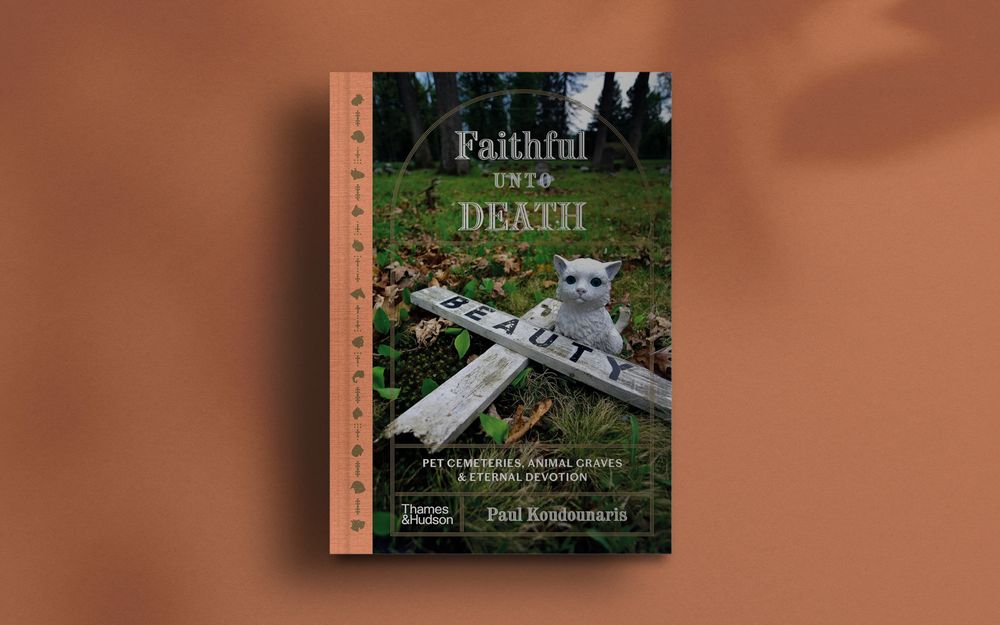 Cherry the Pioneering Dog post image