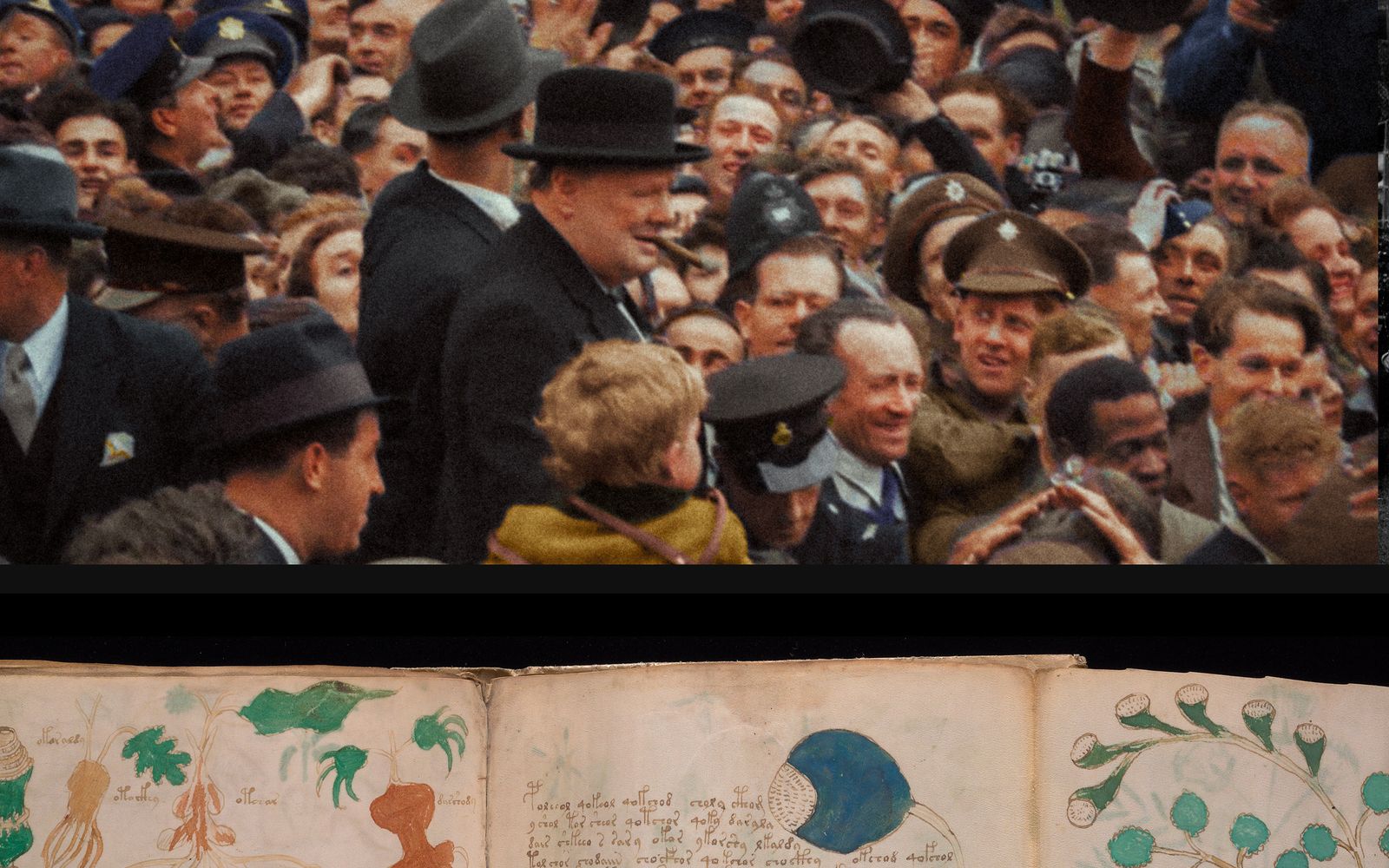 The Dispatch Edition #7: Victorian London, VE Day, & the Voynich Manuscript post image