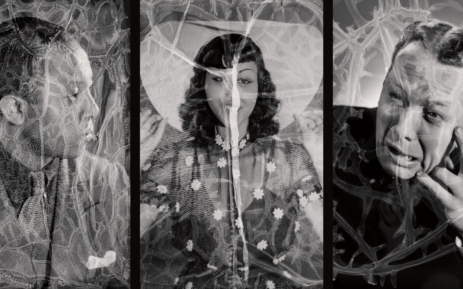 Warped Portraits of the 1930s post image