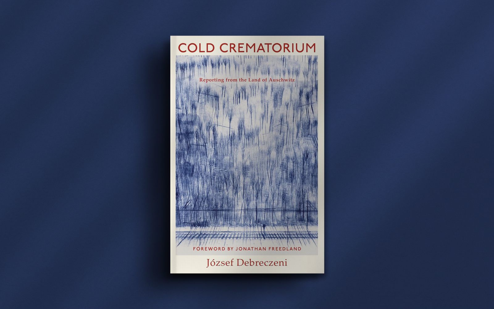 Reporting from the Land of Auschwitz post image