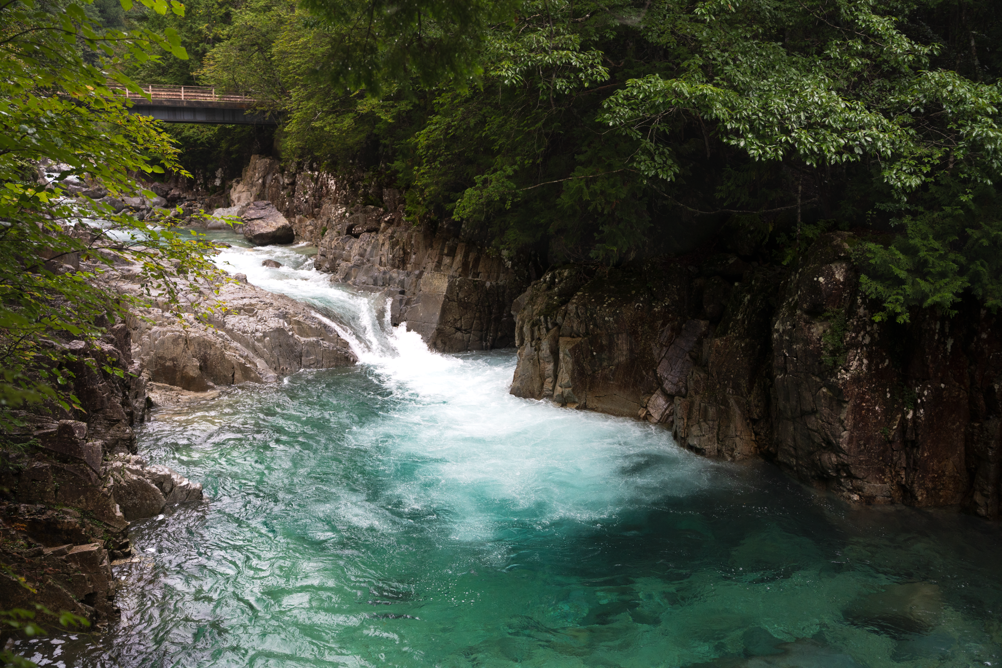 A Return to Nagano