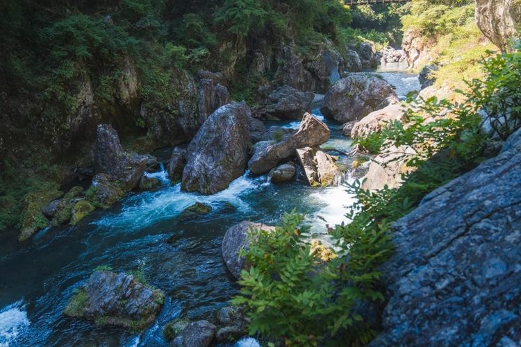 Okutama & Hatonosu Canyon
