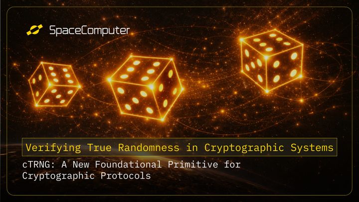 Verifying True Randomness in Cryptographic Systems