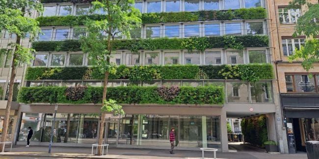 Millionenstreit um erste «Living Green Wall» in Zürich