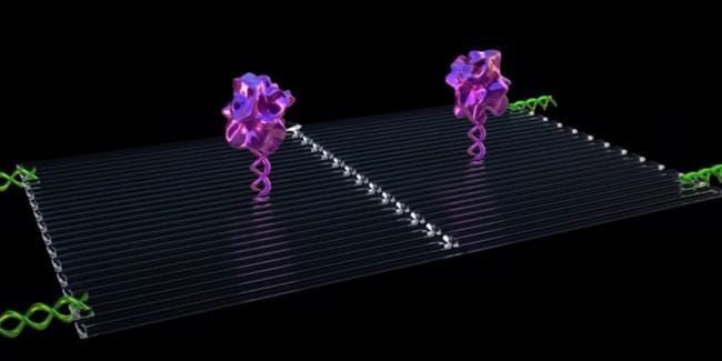 Trendwende bei Venture-Capital-Investoren: Mehr Nanoroboter - weniger bored Apes