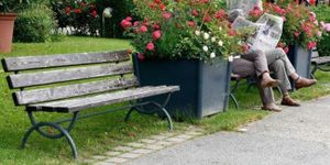 Schweizer Pensionskassen sind Sustainability-Muffel