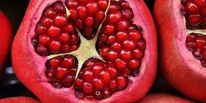 ResponsAbility bekommt viel Geld für Food-Projekte in Asien und Lateinamerika