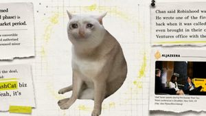 Der «Shitcoin» (pardon Memecoin) lebt