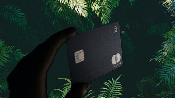 Welcome to the Stablecoin-Jungle