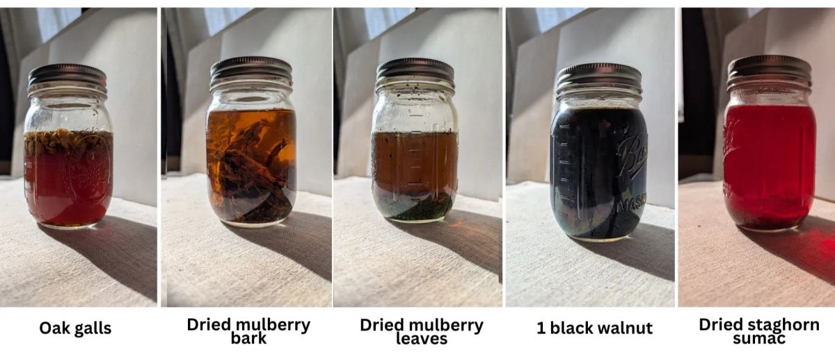 foraged dyes: process tl,dr