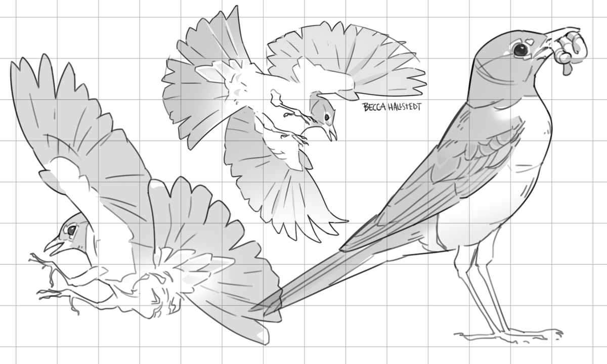 anyone can draw with a grid