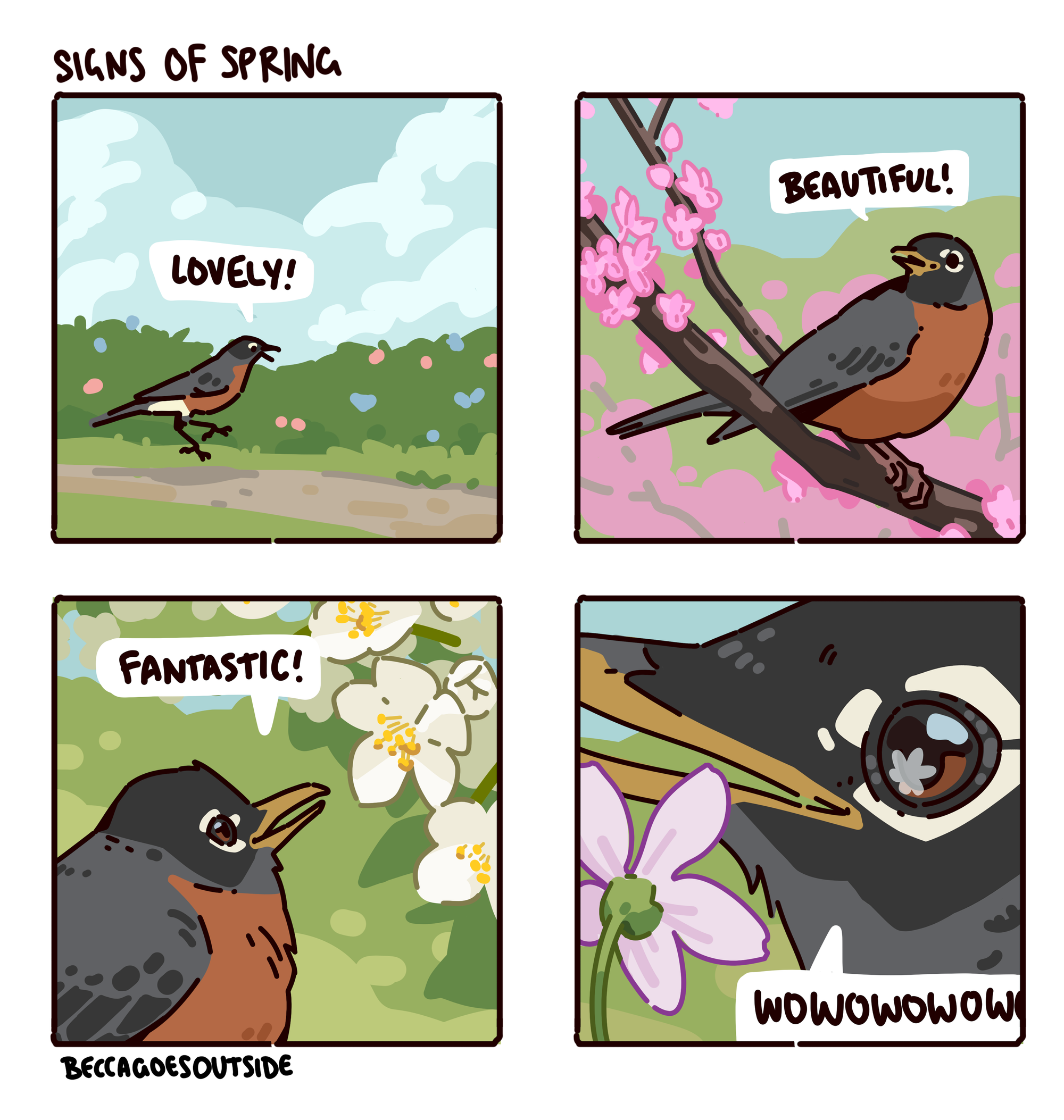 comic & process: signs of spring
