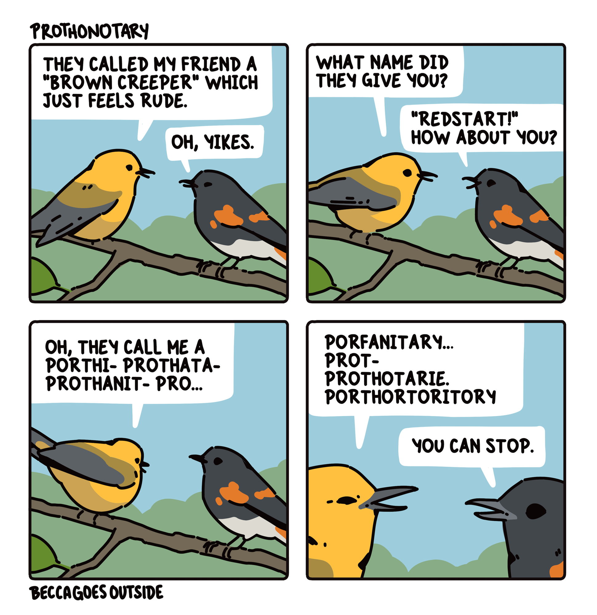 comic & process: prothonotary