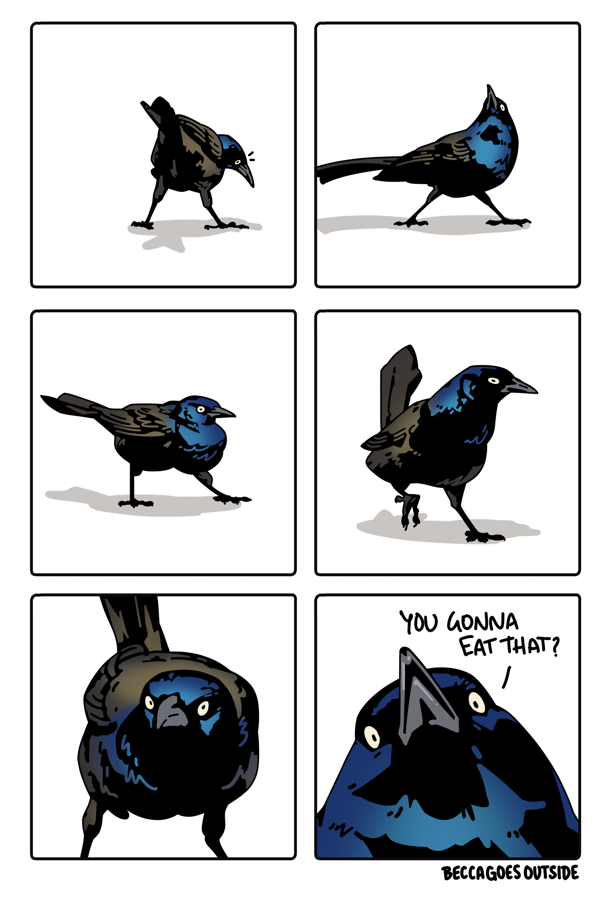 comic & process: snackle