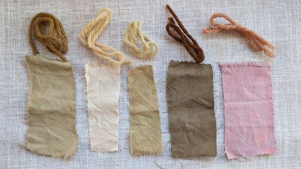 2024 foraged dyes: megapost