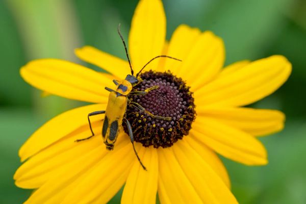 beginner macro part 1: equipment