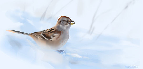 i love to shoot my own references