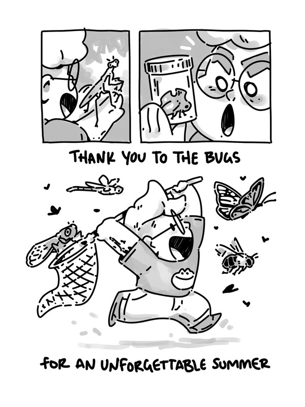 comic: hot bug summer