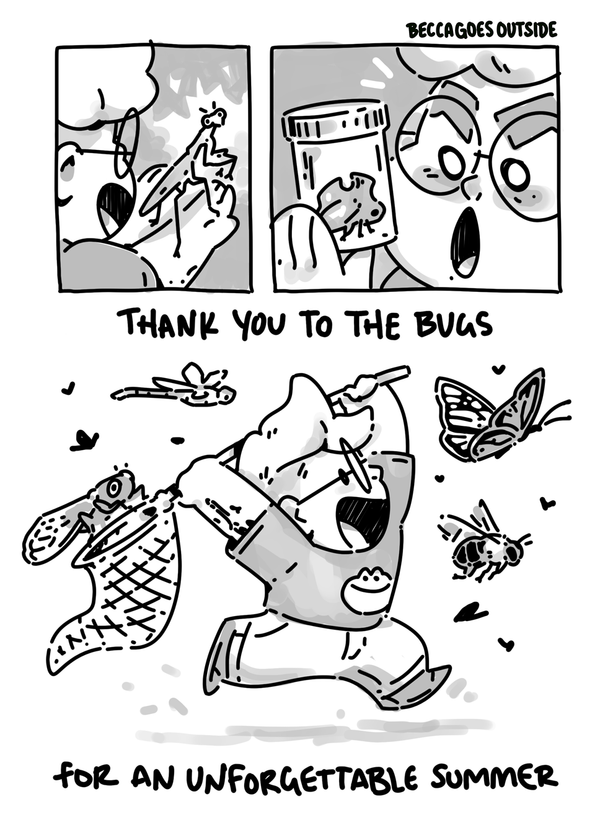 comic: hot bug summer