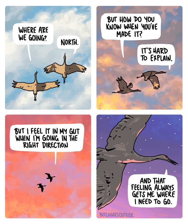 comic & process: where are we going