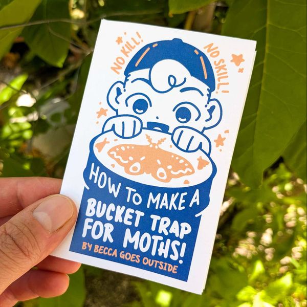 zine: DIY moth bucket trap