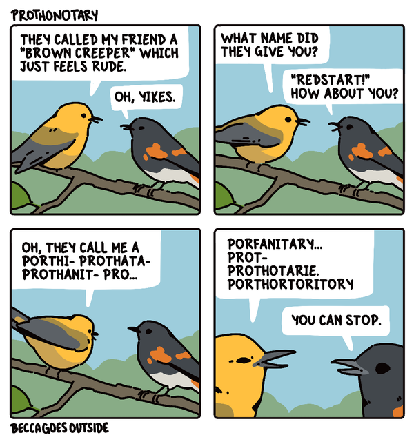 comic & process: prothonotary