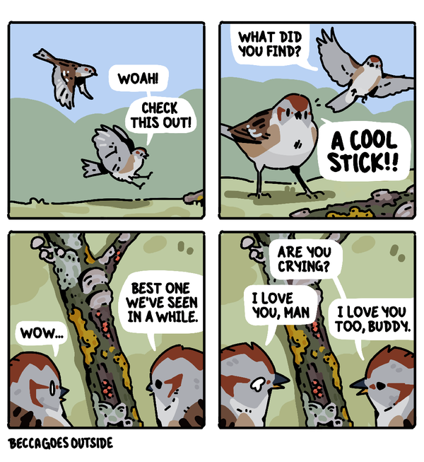 comic & process: cool stick