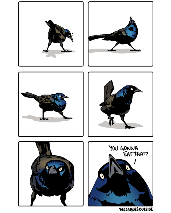 comic & process: snackle