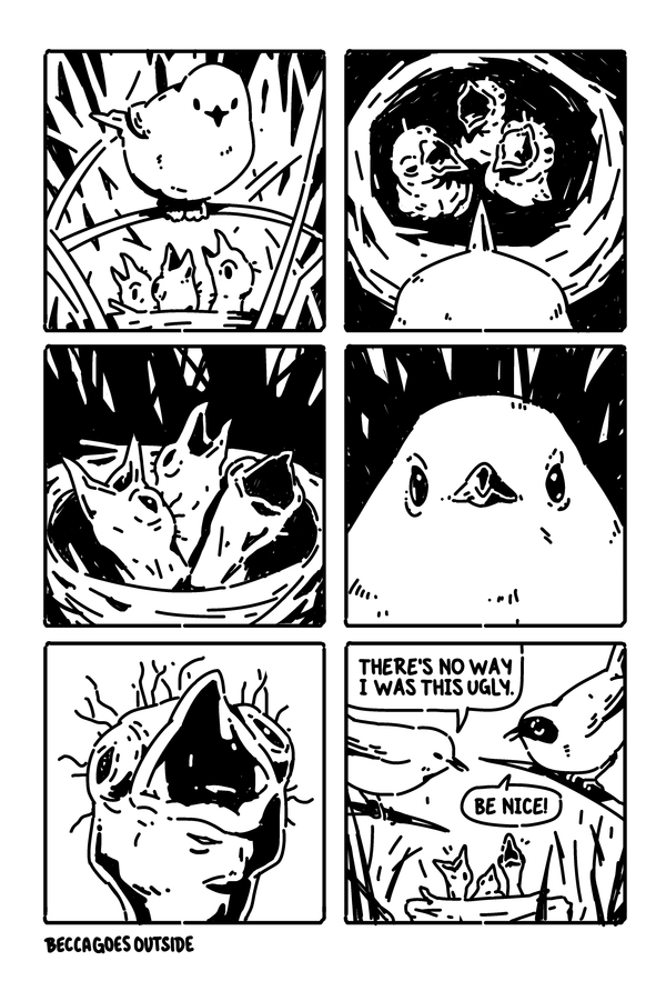 comic: there's no way