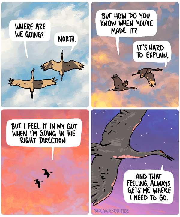 comic & process: where are we going
