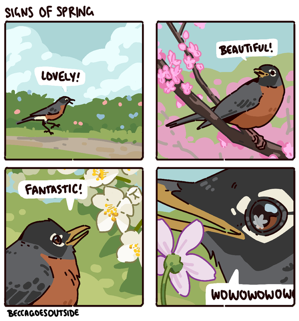 comic & process: signs of spring