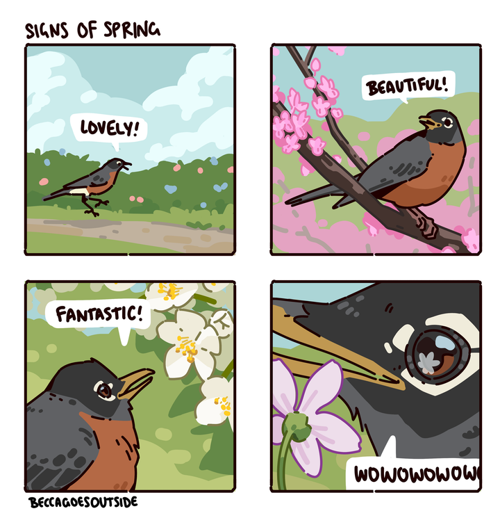 comic & process: signs of spring