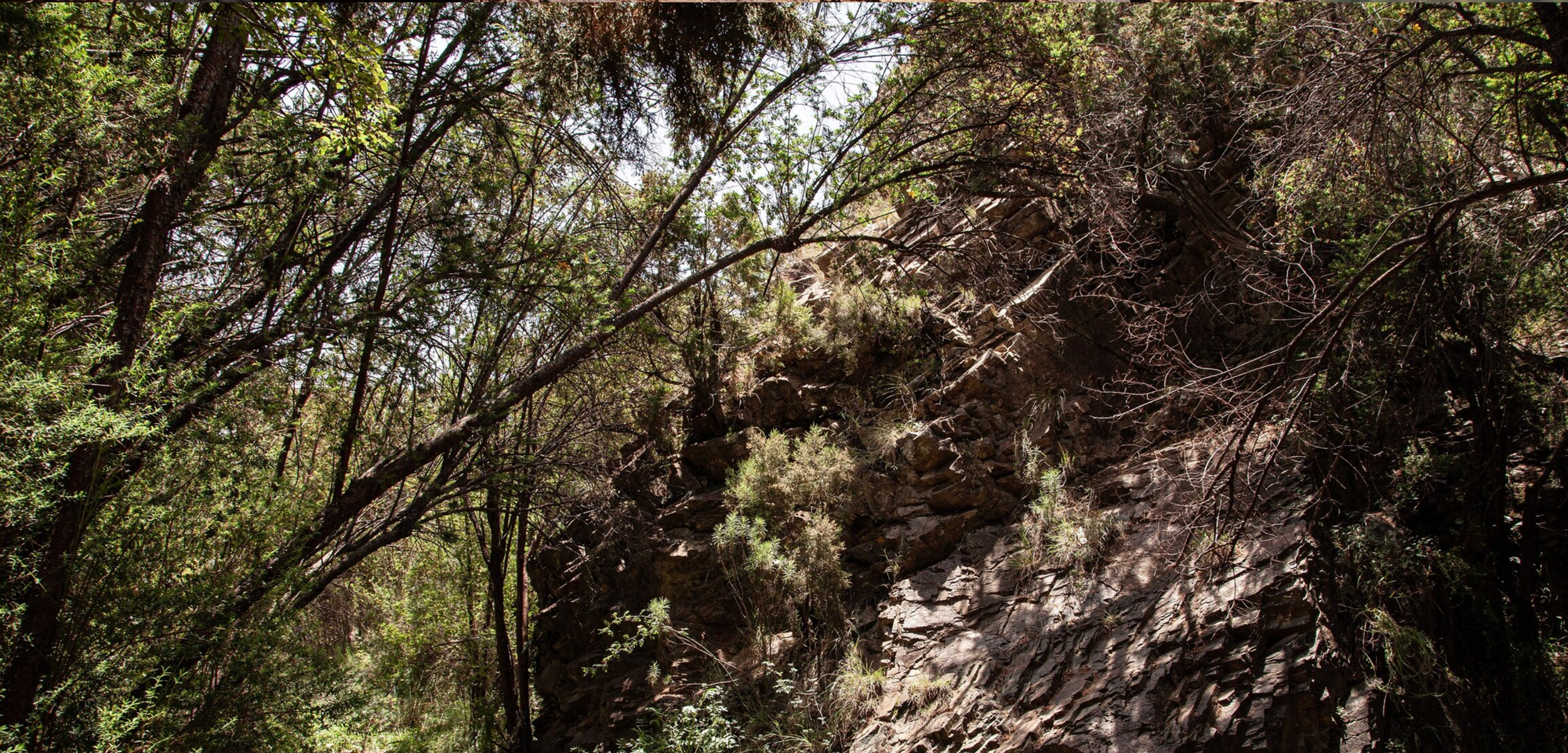 Soudah Peaks: Heritage, Wildlife, & Highland Culture in Aseer