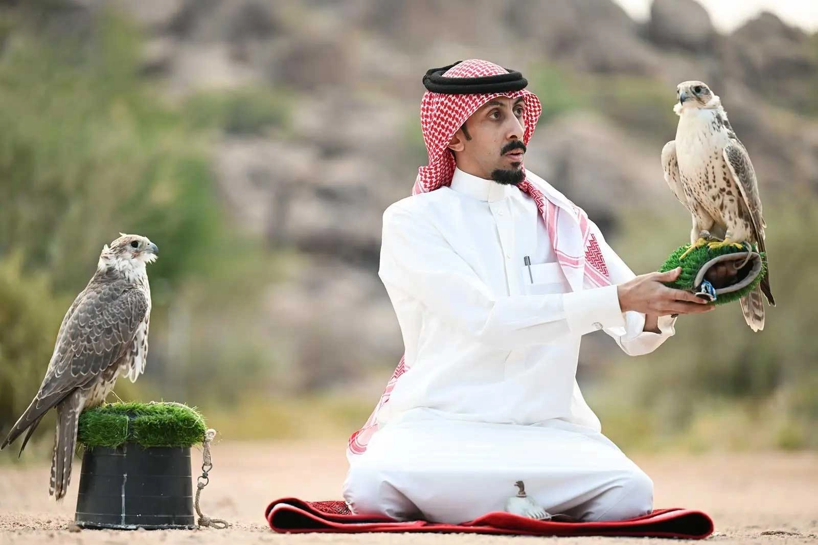 Falconry in Saudi Arabia: From Desert Survival to a Global Heritage