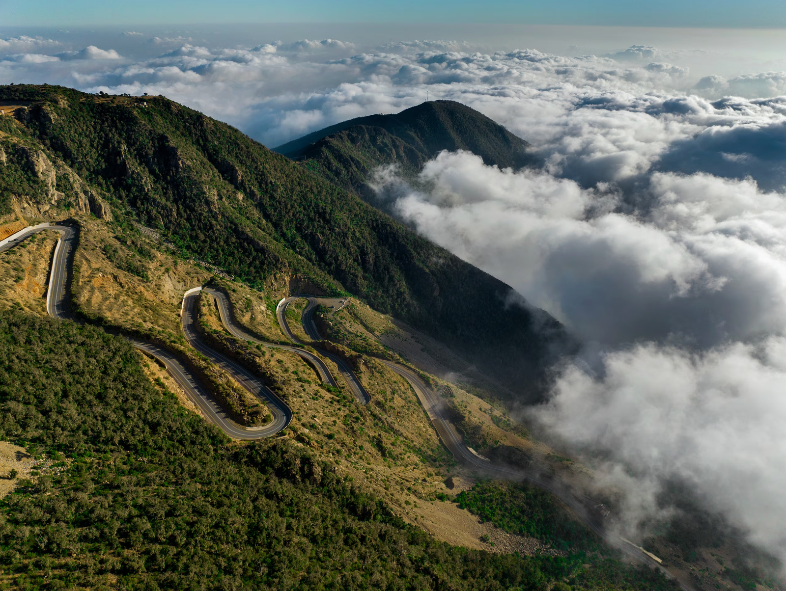 Soudah Peaks: Heritage, Wildlife, & Highland Culture in Aseer