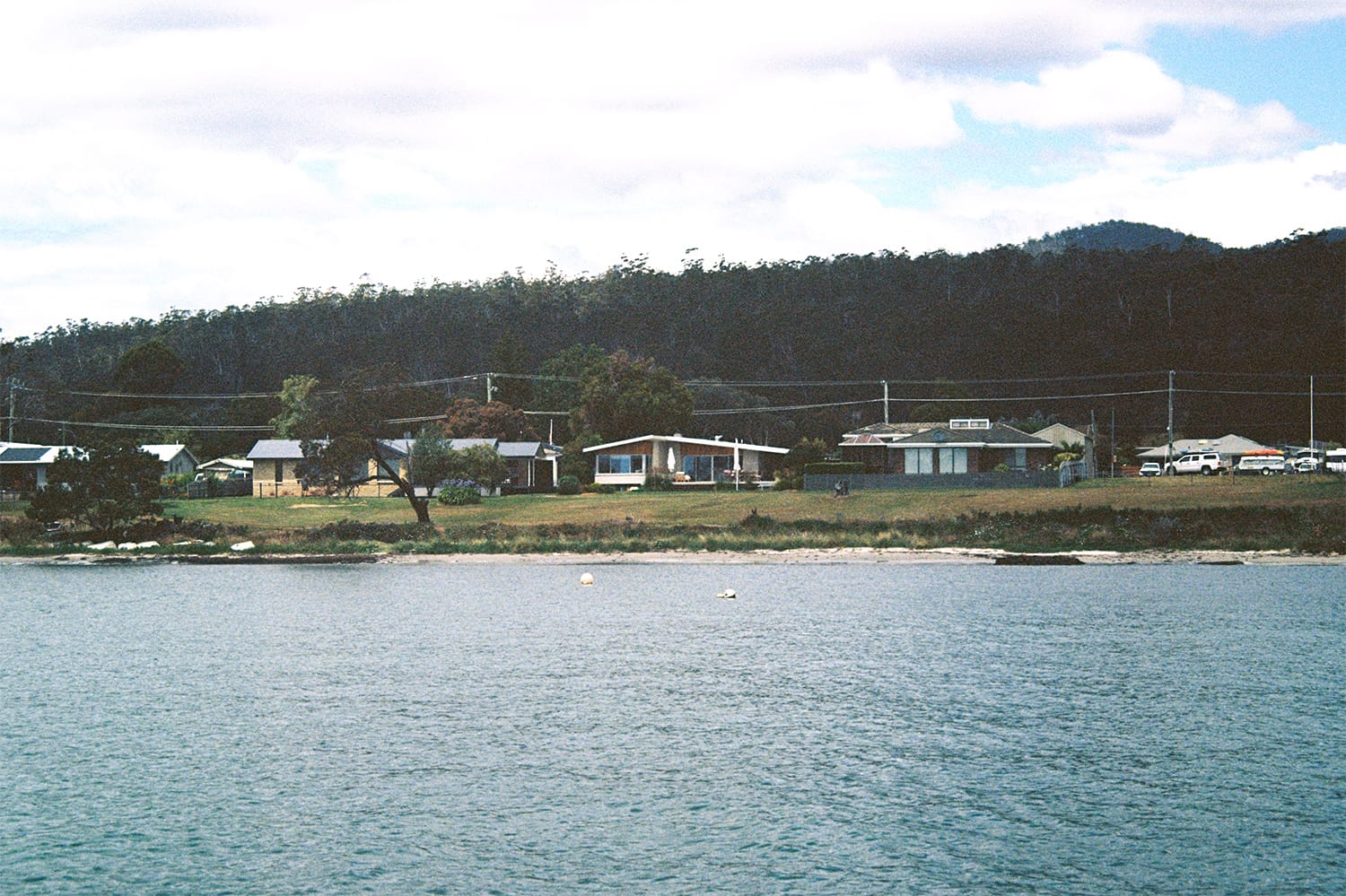 Shelly House