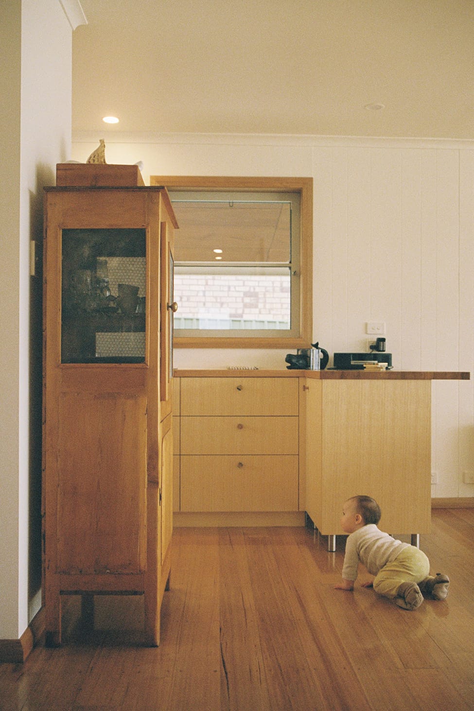 Shelly House