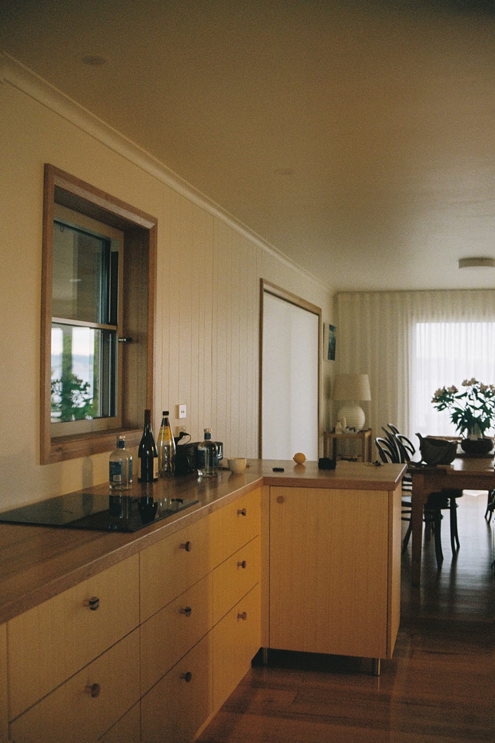 Shelly House