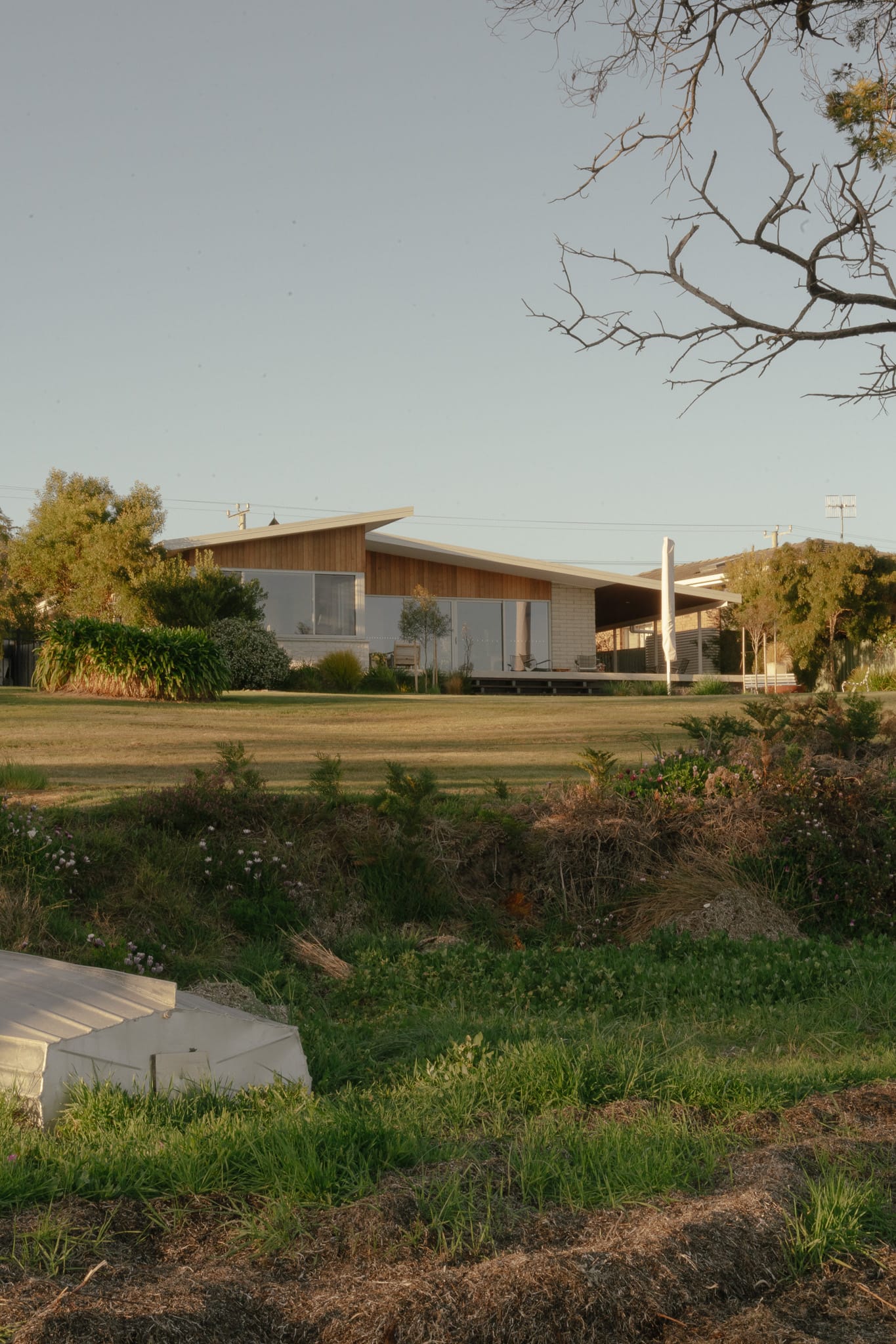 Shelly House