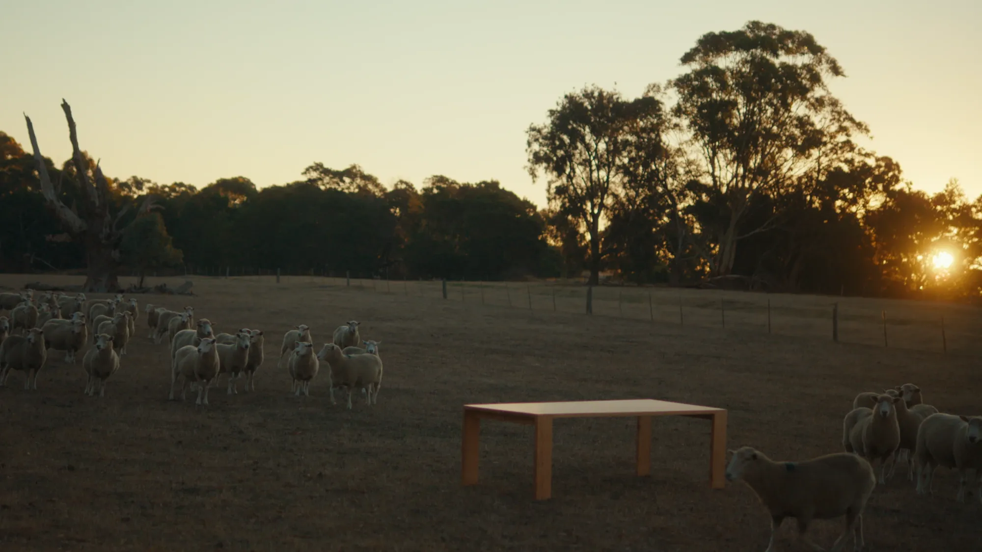 Agroforestry Furniture
