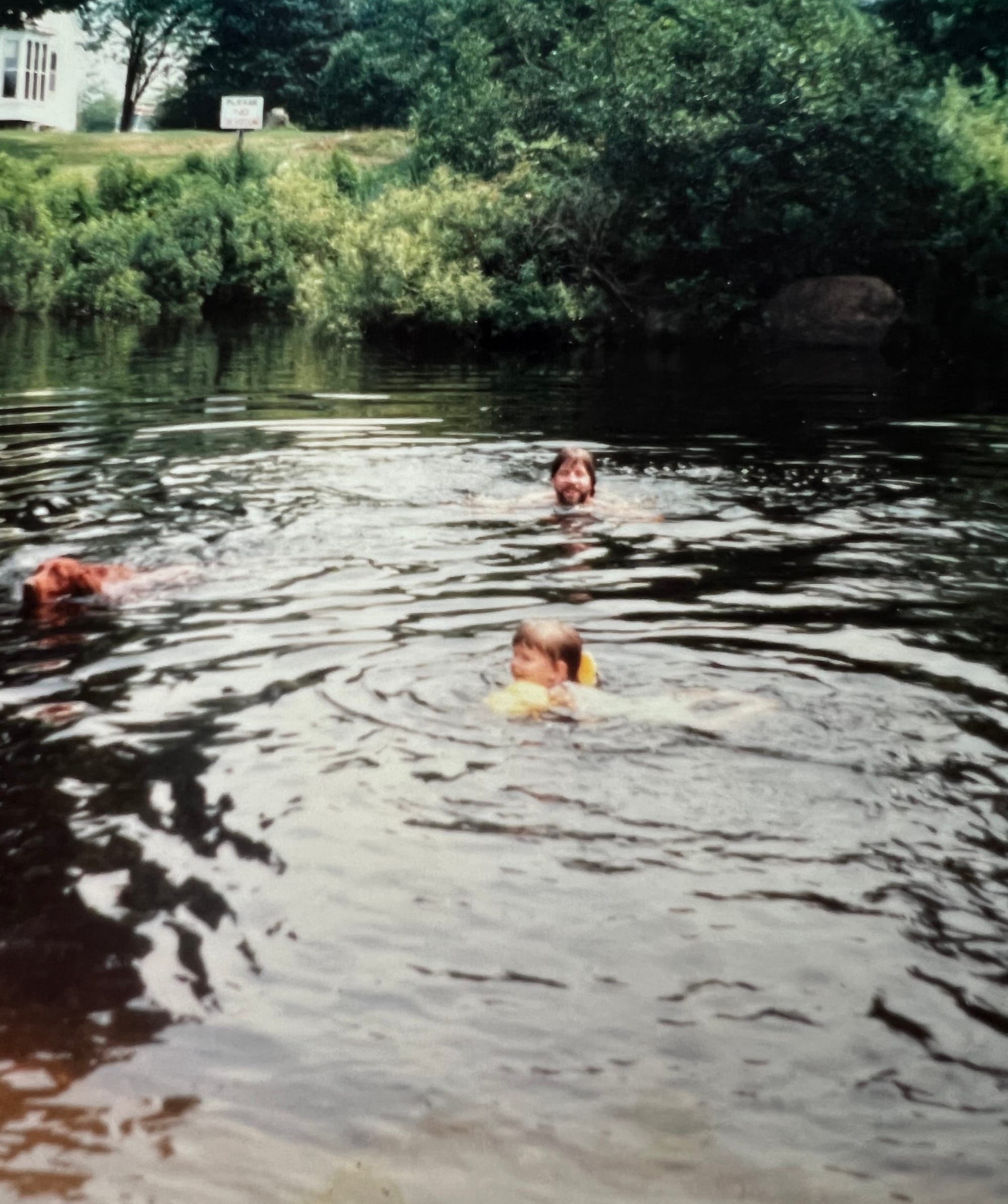 Father swimming with his child and their dog, in a pond in a beautiful verdant setting; child in yellow water wings