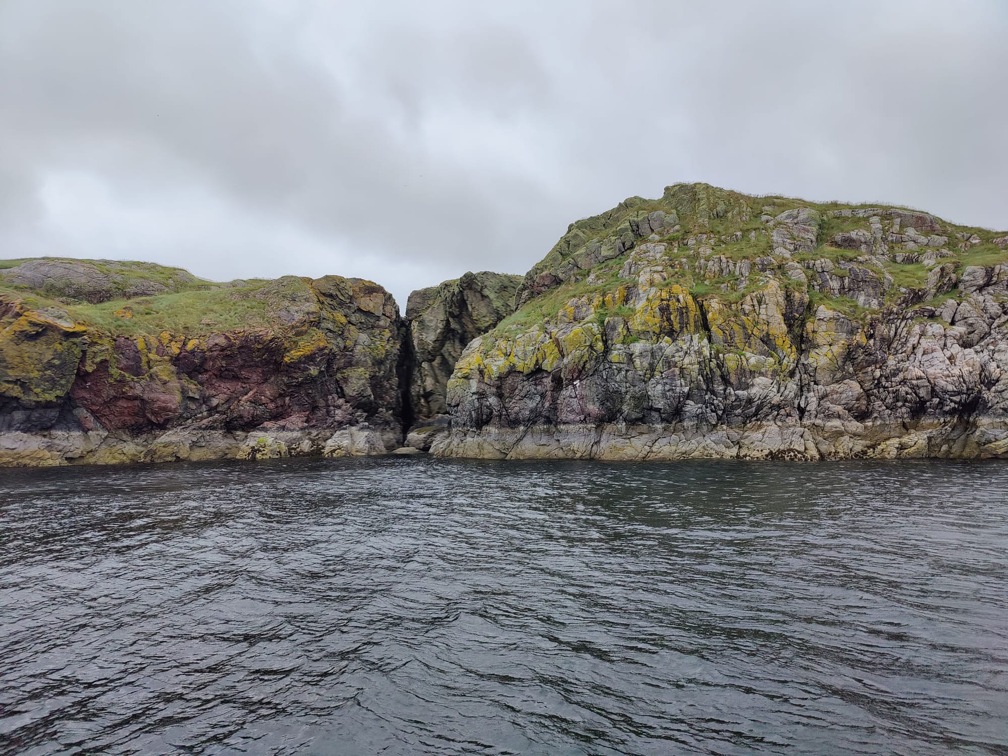 Gorgeous rock formations covered in beautiful lichens and trees, on the way out of Ullapool Harbor; we saw baby seals nearby, and guillemots